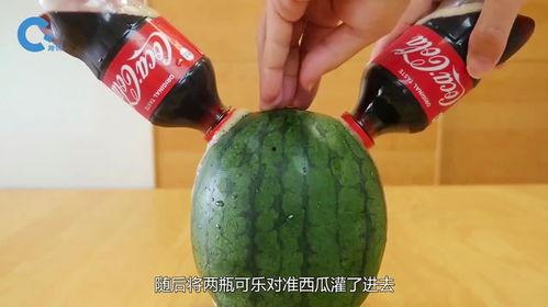 娱乐吃瓜酱属于什么,揭秘娱乐圈幕后故事与热点事件