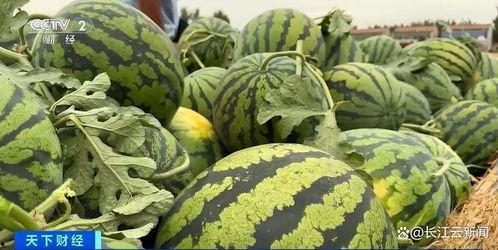 网上吃瓜群可靠吗,信息真伪难辨，可靠度几何？