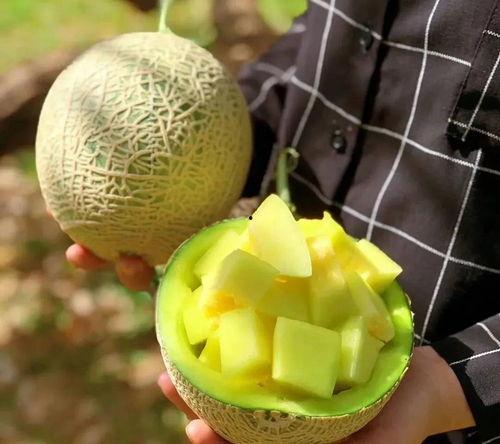 娱乐吃瓜壁纸图片大全集,盘点热门明星瞬间，解锁娱乐圈幕后故事