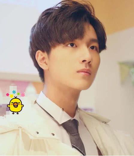 娱乐圈吃瓜李宏毅是谁,揭秘他的明星之路