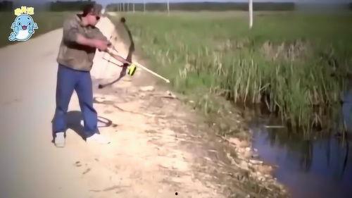 娱乐吃瓜钓鱼,钓鱼揭秘幕后故事