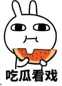 娱乐吃瓜群名叫什么好听,探寻那些独具特色的娱乐吃瓜群名
